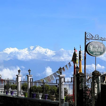Muscatel Nirvana - At The Mall Road Darjeeling  Exterior foto